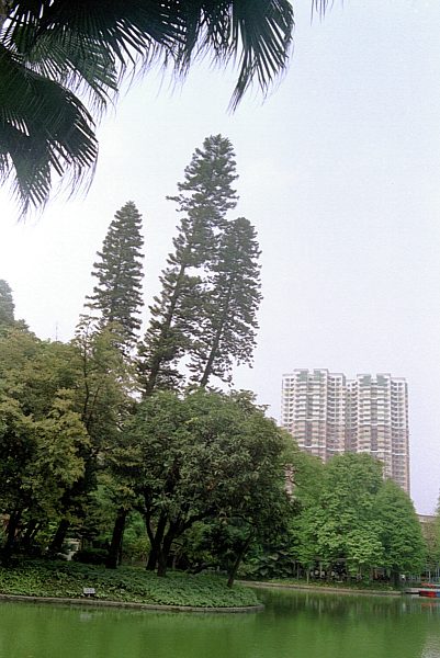 Exotische B&auml;ume und Teich im Park
