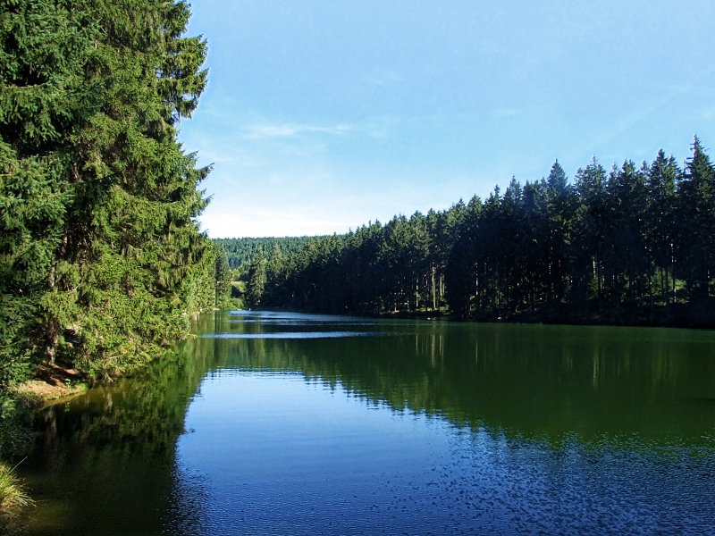 Mittlerer Grumbacher Teich bei Hahnenklee im Harz
