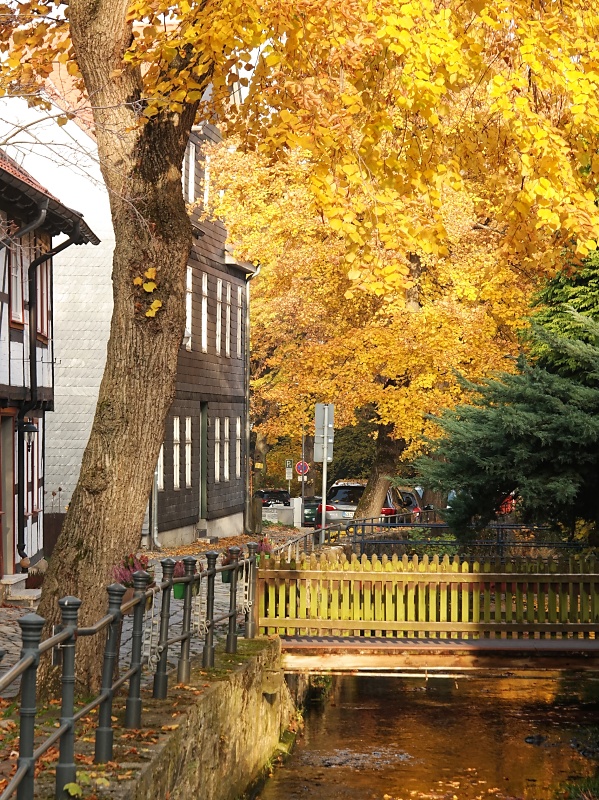 Herbstliche Impressionen aus Goslar