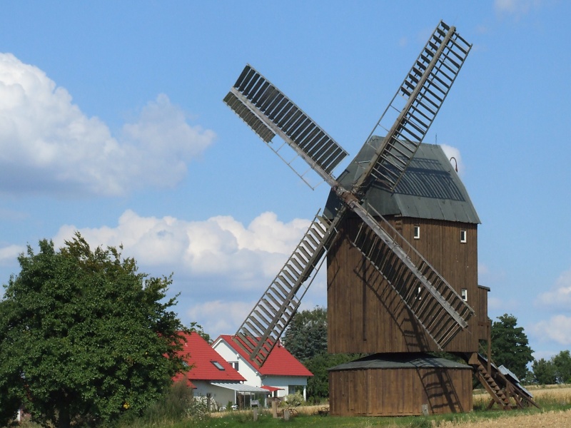 Bockwindmühle bei Abbenrode am Elm