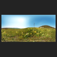 2021-04-28_Schluesselblumen_Liebenburg_thumb.jpg