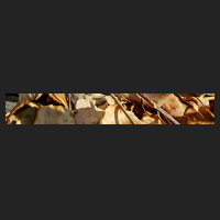 r2_1.jpg