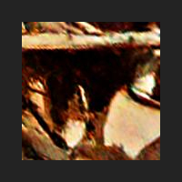 r4_4.jpg