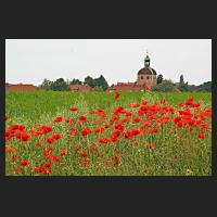 2017-06-05_Mohn_bei_Salzdahlum_01.jpg