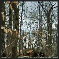 2021-04-01_Buschwindroeschen_Cremlingen_t_1l_2_1.jpg