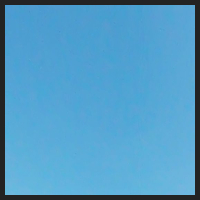 2021-04-28_Schluesselblumen_Liebenburg_t_1f_1_2.jpg