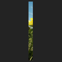 l0_1.jpg