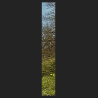 f0_2.jpg