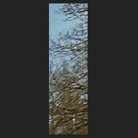 f0_4.jpg