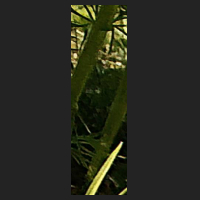 l3_4.jpg