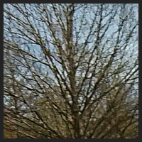 r0_0.jpg