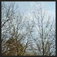 r0_1.jpg