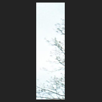 r0_4.jpg