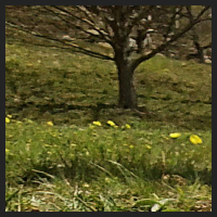 r1_0.jpg